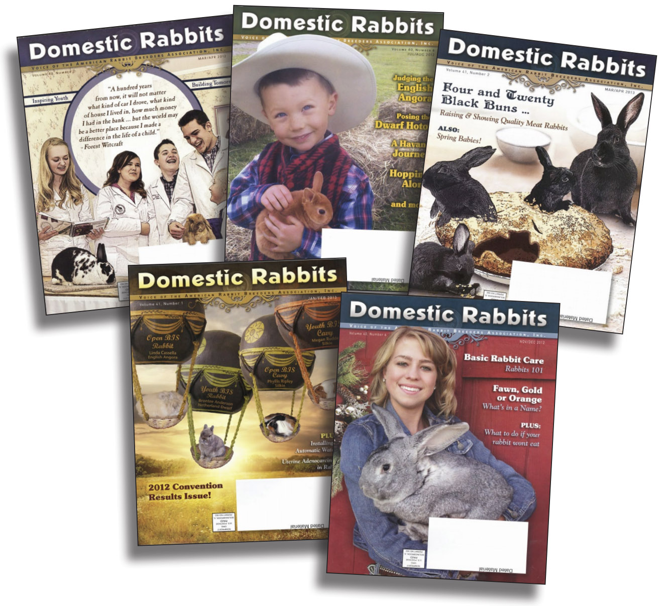 Domestic Rabbits Mags