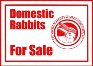 ARBA Rabbit Breeds Poster – ARBA