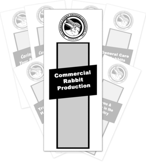 commercial rabbit production
