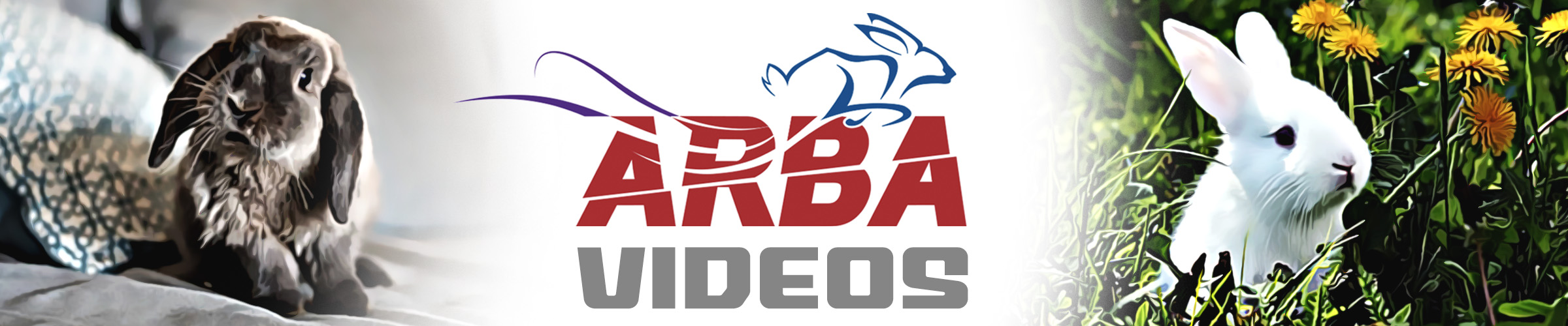 ARBA Videos