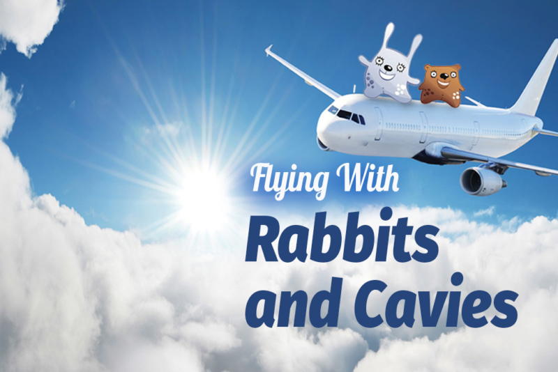 Flying with Rabbits and Cavies ARBA