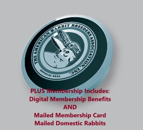USA Plus Memberships